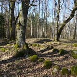 Łupawa – cmentarzysko megalityczne (tzw. północne)